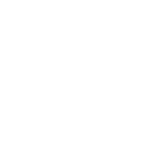 lightbulb solid